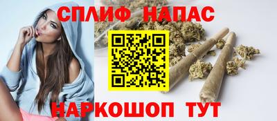 твердый Кингисепп