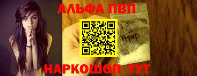 твердый Кингисепп