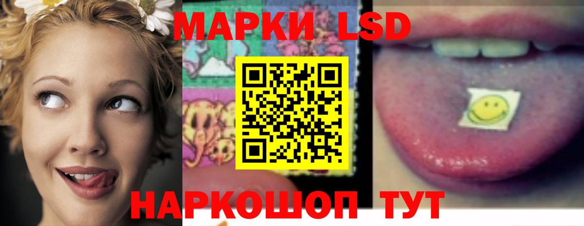 Лсд 25 экстази кислота  Лсд 25 экстази  Камышлов  Вход с VPN  LSD-25 экстази кислота 