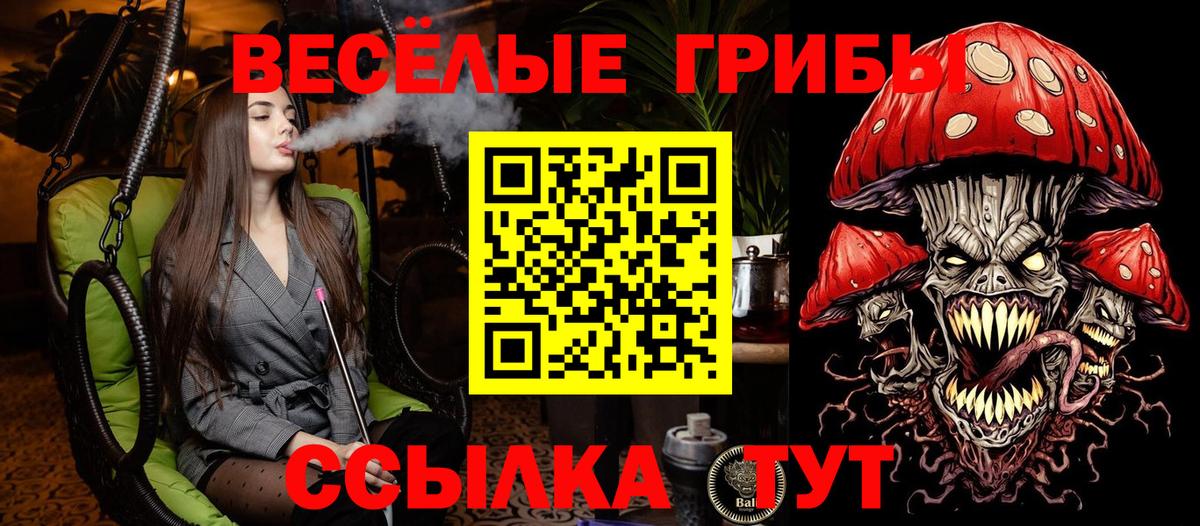 Камышлов  Псилоцибиновые грибы Cubensis  Вход с VPN 