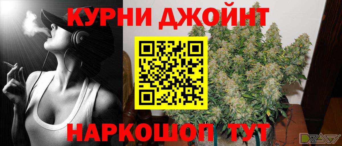 Канабис марихуана  Вход с VPN  Камышлов  Бошки Шишки марихуана  Конопля тримм 
